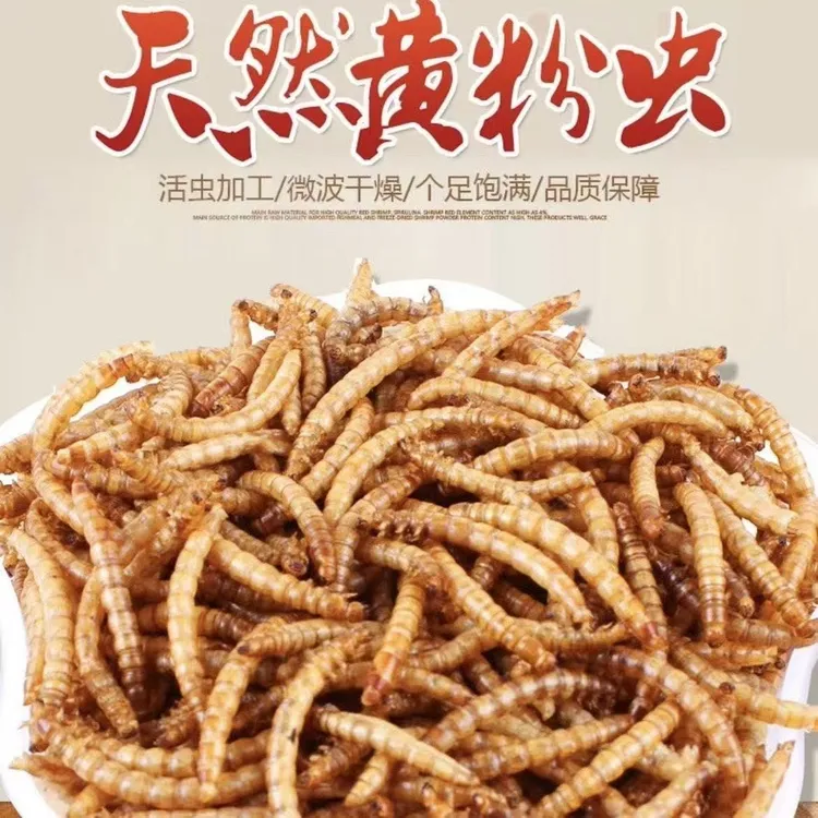 面包虫【虫干】黄粉虫乌龟仓鼠蜘蛛蛙八哥鸟等动物的活饲料