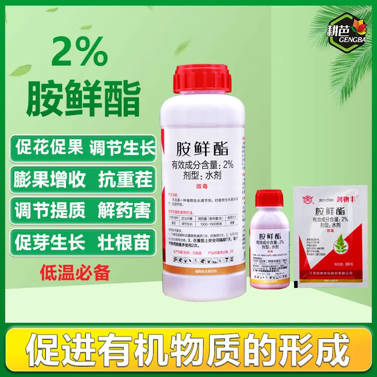 耕芭胺鲜酯植物生长调节剂促生长低温冬季搭配效果好