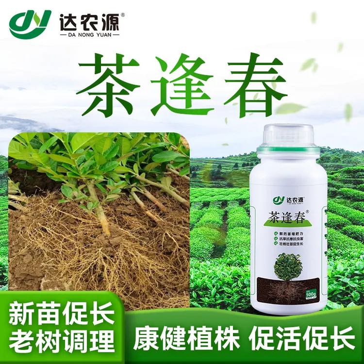 茶逢春扦插移栽生根肥新树移栽老树调理促生根促成活根部调理肥