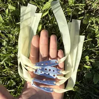 弹弓专用皮筋2113 0.5厚16长5副装
