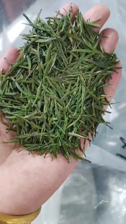 新茶明前绿茶银针,根根竖立,口感鲜爽,沙口大耐泡。