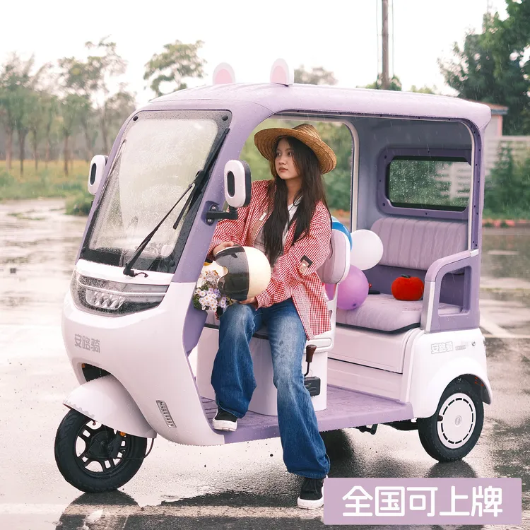 新款带棚电动三轮车家用小型封闭蓬三轮电动电瓶车老年人接送孩子