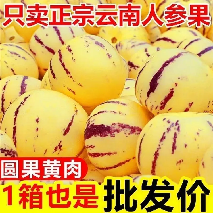 云南当季低糖人参果新鲜树熟黄肉圆大果清甜多汁应季水果