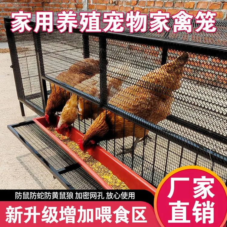 家用户外处理鸽笼兔笼防蛇鼠厂家直销家禽鸡笼特大号批发养鸡笼子