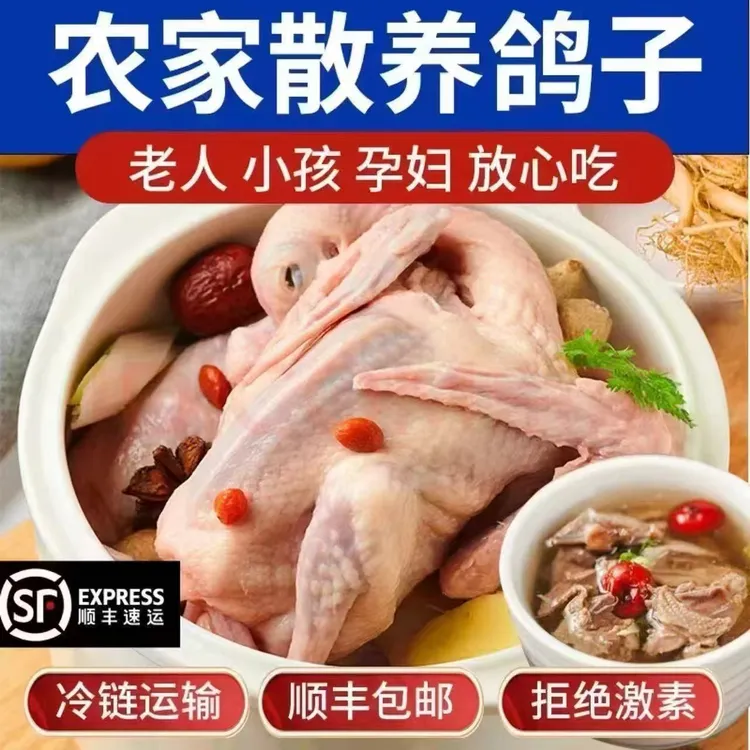 农家3只鸽子单只7-8两左右鸽一散养土鸽新鲜煲汤带头带爪顺丰发货商品图