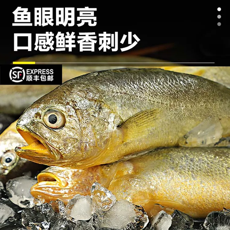 正宗深海野生小黄鱼海捕黄花鱼鲜活冷冻水产品9-12条每袋
