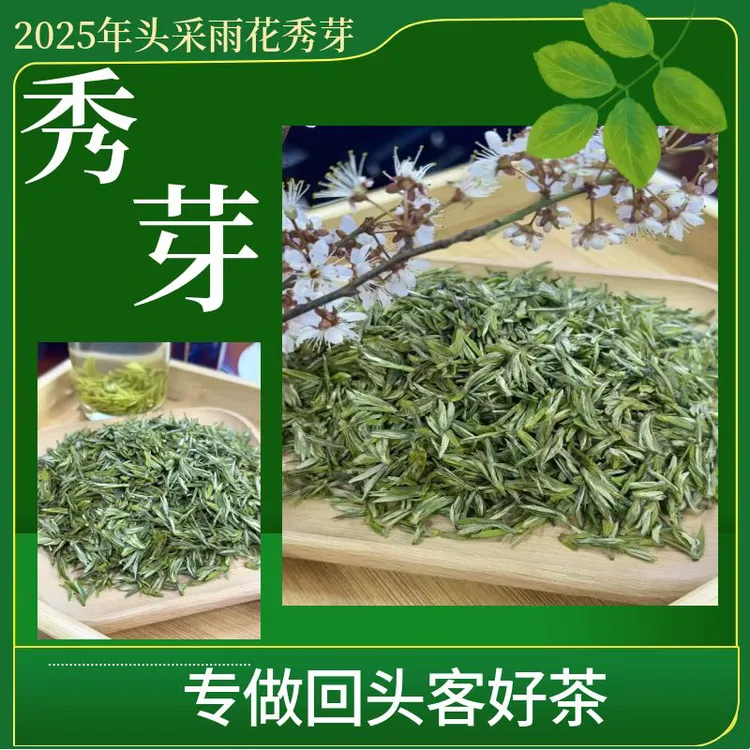 2025年新茶头采芽雨花手工永川秀芽1号嫩芽