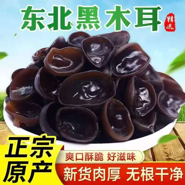 ｛特惠｝东北秋木耳无根肉厚碗耳500克/袋，试吃100克