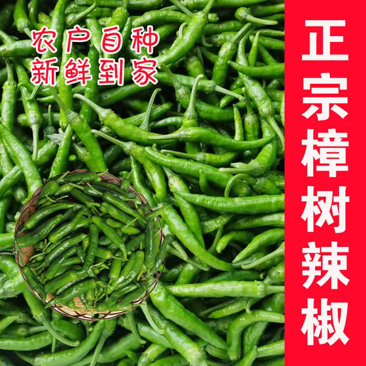 樟树小辣椒湖南特产农家自种薄皮辣椒新鲜香辣美味可口新鲜包邮