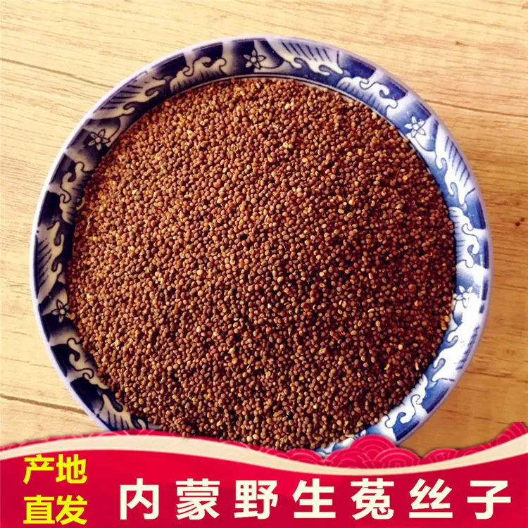 菟丝子材内蒙古野生兔丝子吐丝籽菟丝籽菟丝子男性茶