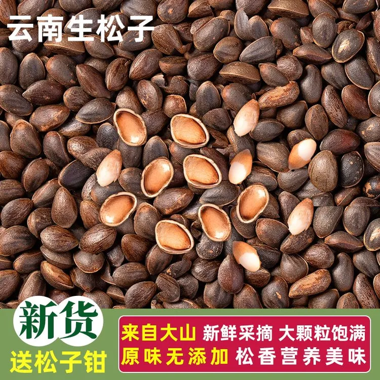 【云南野生松子】2025新鲜薄壳原味松子饱满可生吃未加工坚果零食
