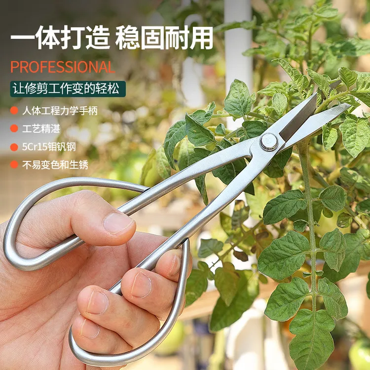 嫩叶剪叶芽剪花艺专用剪刀全钢一体修枝剪花盆景园艺剪刀工具批发