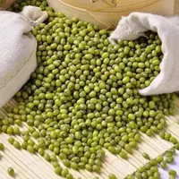 农家新鲜绿豆颗粒饱满适合熬粥煲汤解暑营养丰富