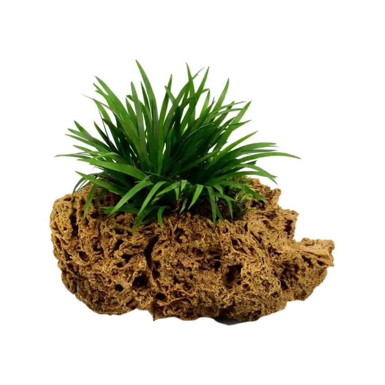 直播间一物一拍吸水石盆景天然奇石室内庭院绿植鱼缸造景