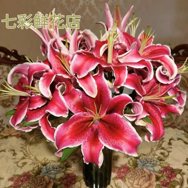 【源头优选百合花】黑美人香水百合花农场直发芳香四溢美丽百合鲜花