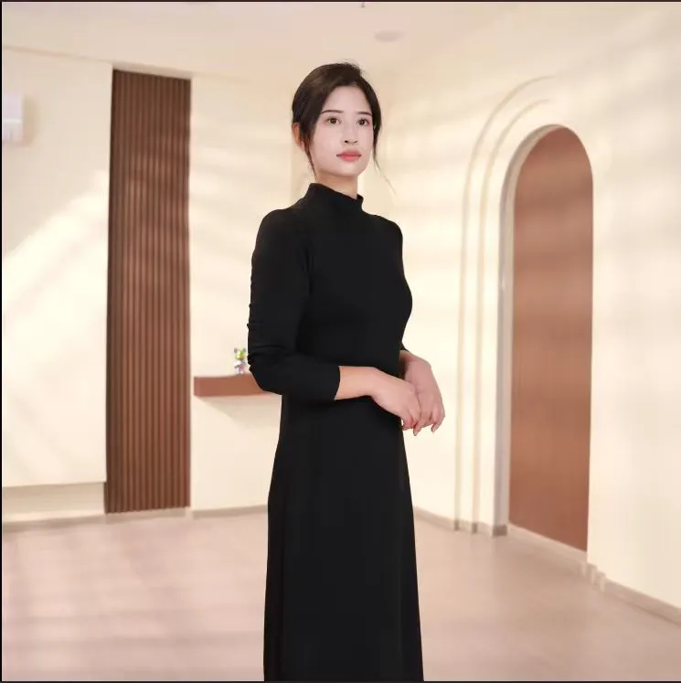 2025秋冬季半高领套头修身T型中长连衣裙时尚百搭打底2059款