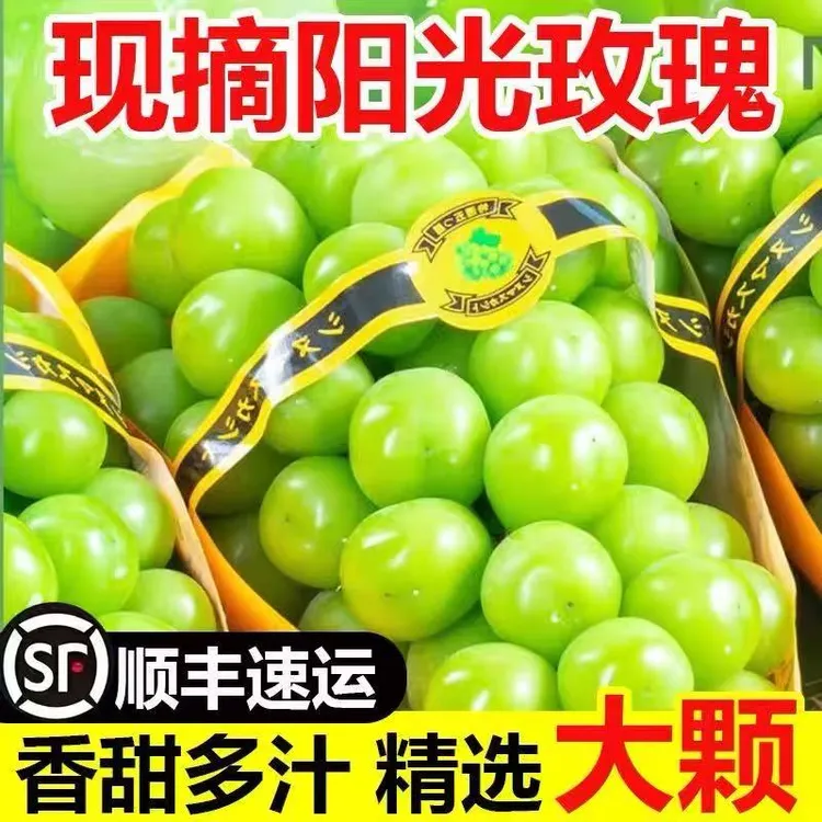 阳光玫瑰葡萄晴王新鲜无籽香印青提水果粒大饱满入口2025新鲜水果