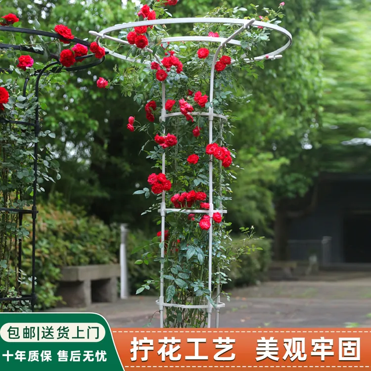 加粗伞形花架葡萄爬藤架园艺支架阳台庭院户外攀爬支撑花架支撑杆