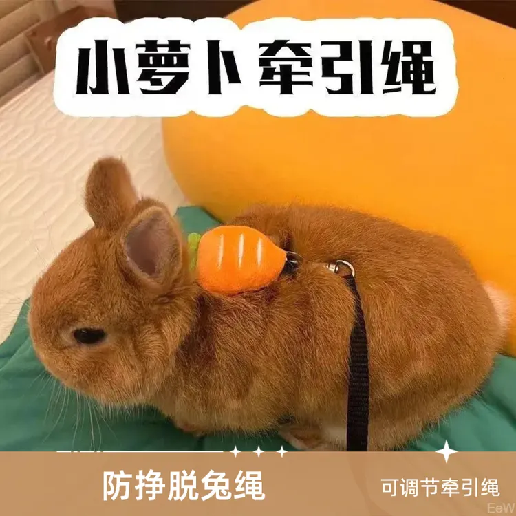 兔牵引绳可调节小兔子侏儒兔宠物兔溜兔绳子安全牵引绳防脱牵引绳