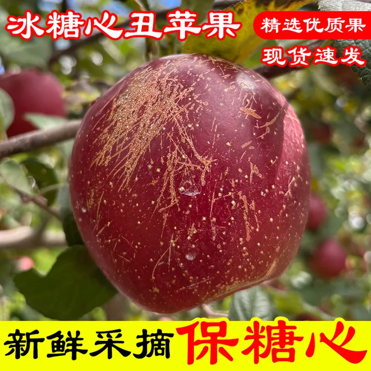 正宗云南高原冰糖心丑苹果现摘现发脆甜嘎嘣脆5斤/9斤
