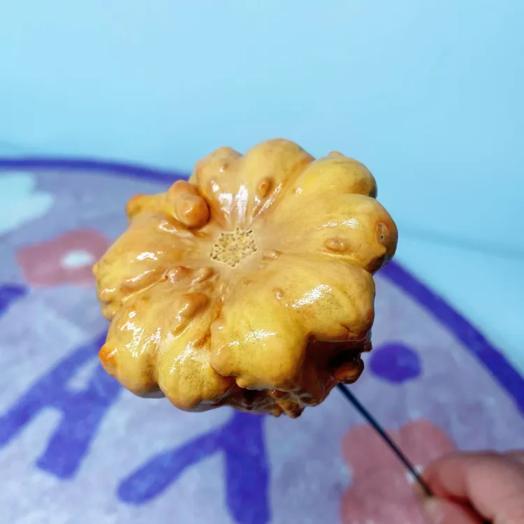 墨西哥七彩葫芦diy花束瑕疵干葫芦永久存放不含配饰