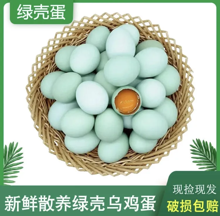 高山五谷杂粮喂养新鲜现捡精选黑鸡绿壳蛋营养丰富味美可口（包邮）