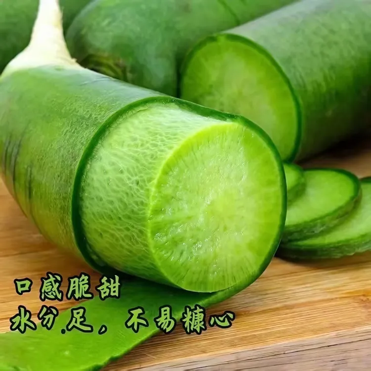 潍坊特产新鲜水果萝卜产地直发营养丰富清脆多汁微辣爽口经济实惠