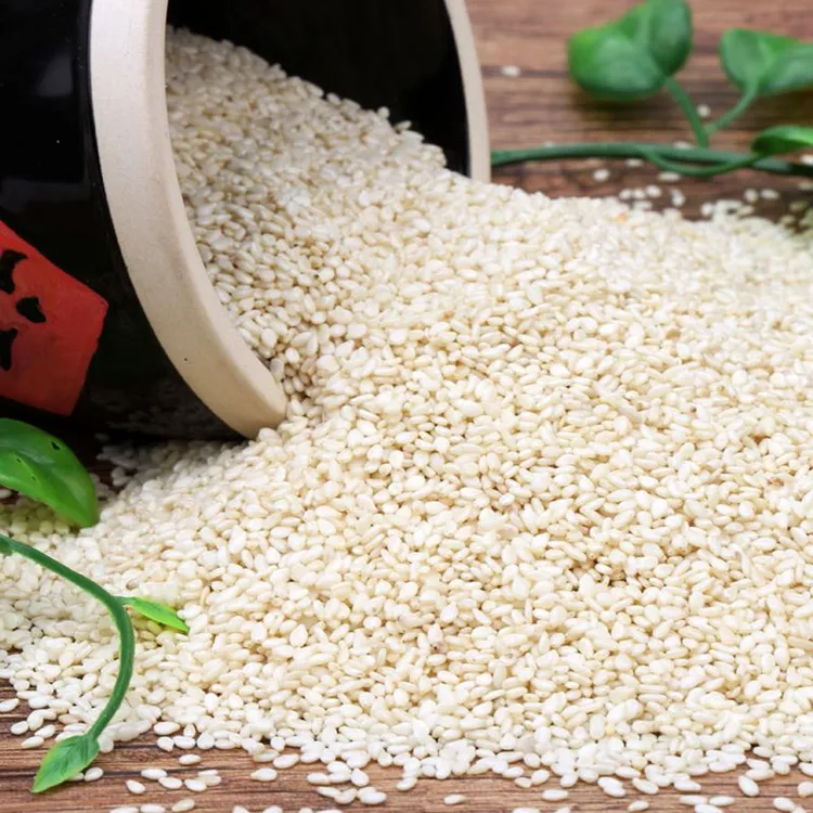 生芝麻脱皮芝麻白芝麻优质生白芝麻干净无沙子