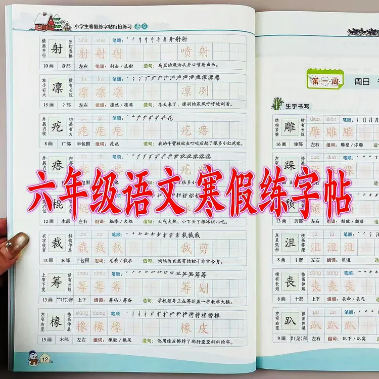 六年级语文寒假练字帖人教版上下册衔接练习寒假写字训练同步字帖