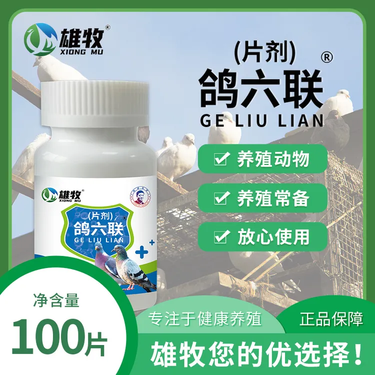 雄牧鸽六联鸽用片剂适用于赛鸽信鸽鹦鹉肉鸽家禽养殖使用饲料添加