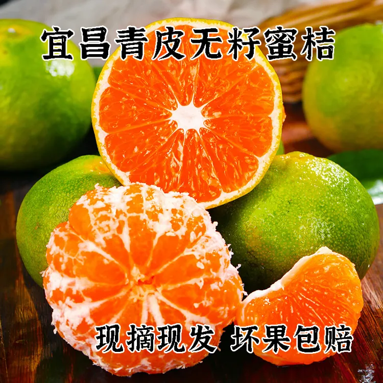湖北三峡坝区正宗青皮蜜橘新鲜现摘薄皮多汁酸甜爽口应季水果