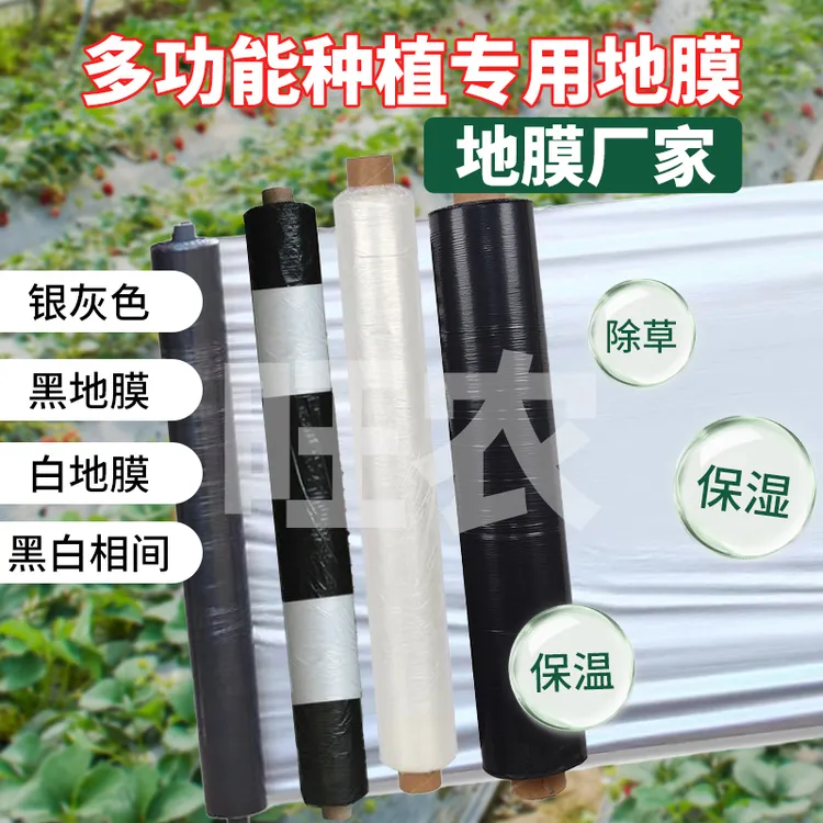 白地膜黑地膜银黑地膜黑白农用除草保温保湿蔬菜大棚种植育苗防草