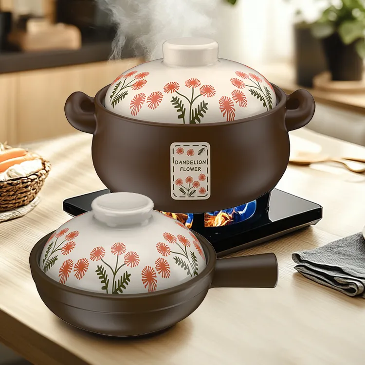 柚米一粒耐热陶瓷砂锅汤煲炖锅煮粥煲汤炖菜明火家用单只