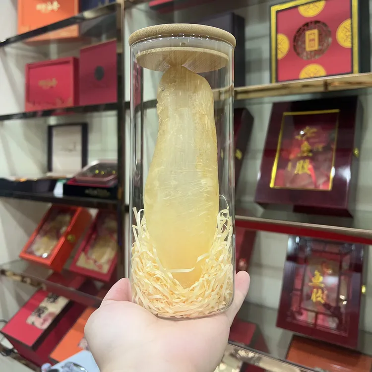 13头筒形越南蜘蛛母胶鱼胶花胶进补佳品炖汤