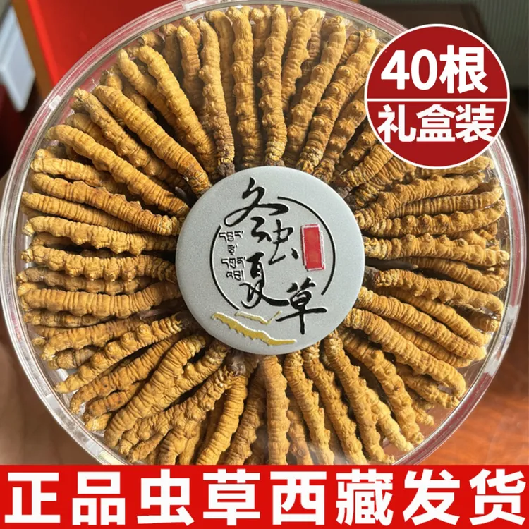 冬虫夏草官方旗舰店正品甄选干货泡酒冬虫草头期干虫草滋补礼盒装
