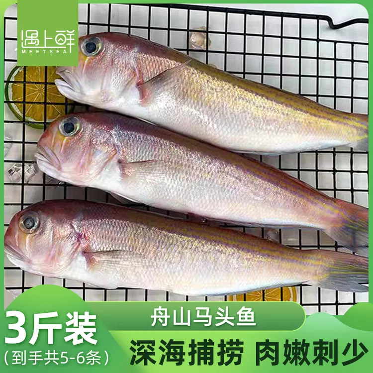 【吾饭专属】遇上鲜 舟山野生马头鱼 方头鱼 深海鱼 新鲜速冻 产地直发