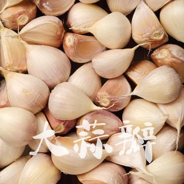 苍山大蒜瓣25年新蒜干蒜山东四六瓣散瓣白皮蒜粘辣1斤/3斤/5斤装