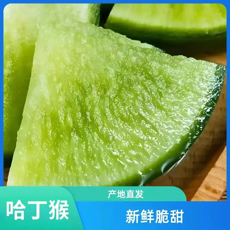 【哈丁猴】潍坊新鲜水果萝卜原产地发货采摘鲜嫩萝卜脆甜