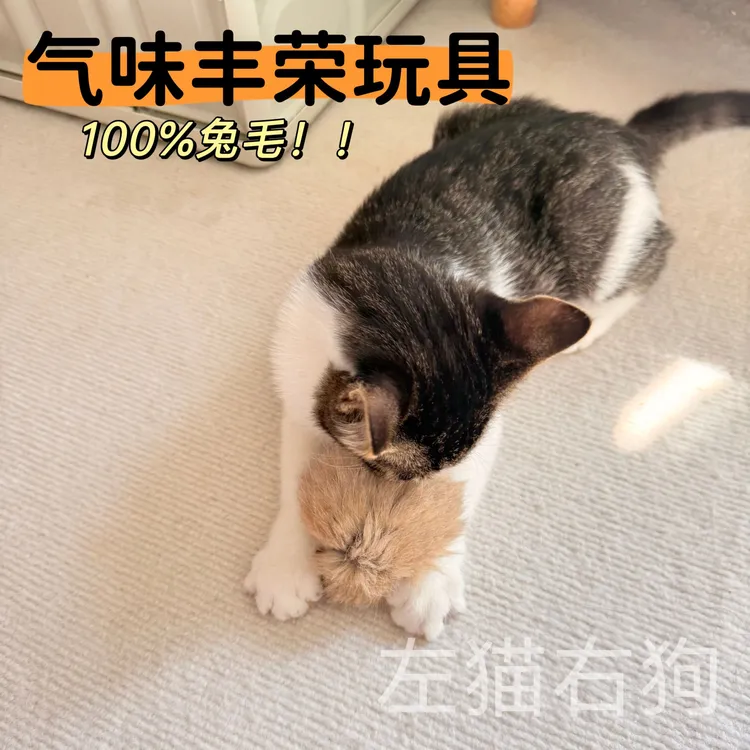 丰容猫玩具兔毛球逗猫球气味嗅闻玩具大尺寸100%真兔毛球含猫薄荷
