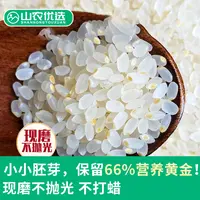（山农优选）胚芽率大于90% 胚芽种子米 厚米油小粒香粳米现磨煮粥