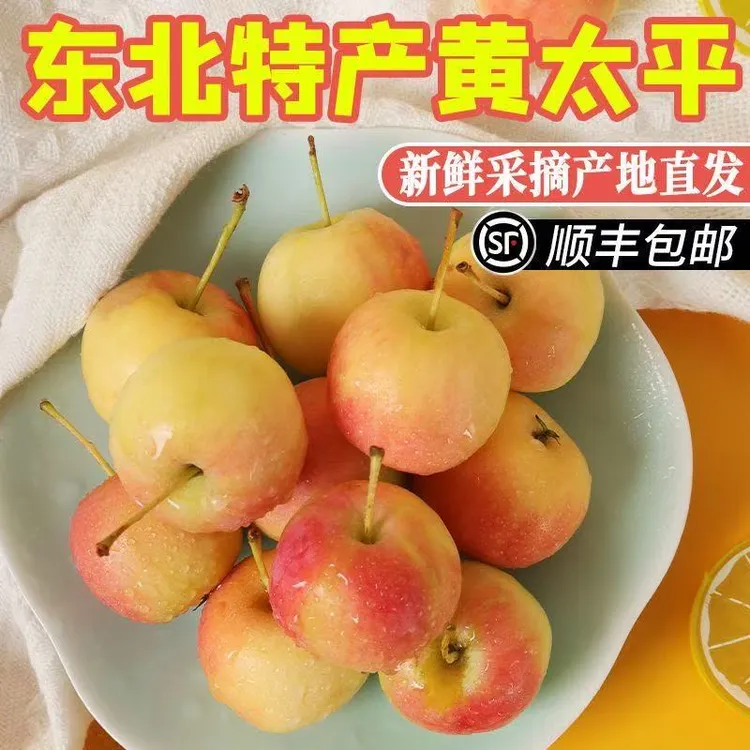 【顺丰包邮】正宗东北黄太平沙果老品种特产新鲜水果非鸡心果