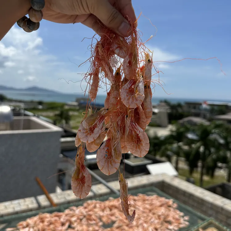 汕尾马宫本港 纯野生海卢虾干鲜甜 麻虾干海虾可当零食 煮粥煮面