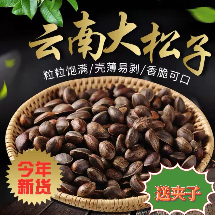 云南新鲜薄壳原味生松子颗粒大饱满营养丰富孕妇可吃