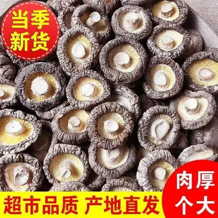 古田香菇新货新鲜营养农家精选肉厚干蘑菇菌菇冬菇香茹散装净重