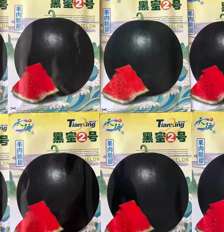 【黑蜜2号西瓜种子】四季种植盆栽地栽阳台小院种植