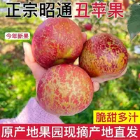 正宗昭通丑苹果9斤红富士新鲜当季脆甜多汁自然成熟中秋活动