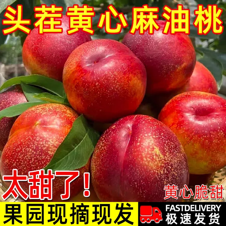 正宗现货脆甜黄心油桃应季夏季新鲜水果整箱黄肉超甜脆桃整箱包邮