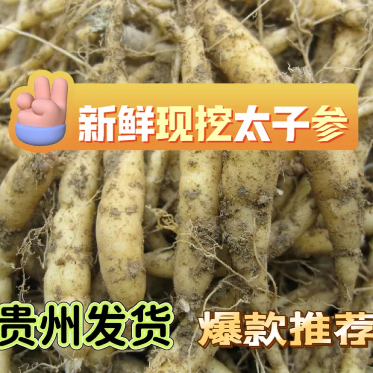 252克贵州新鲜现挖太子参泡酒无硫儿童成长煲汤