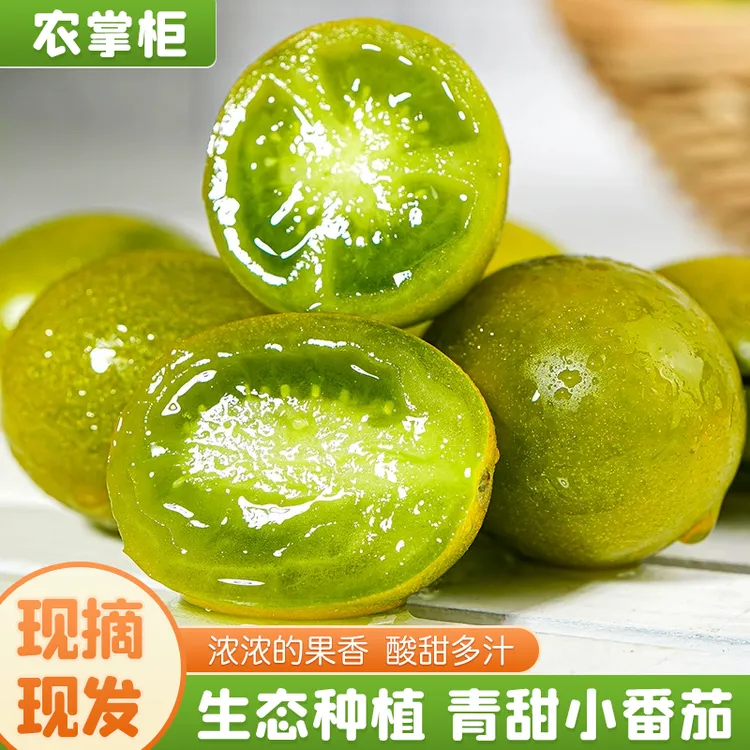 山东寿光青甜小西红柿皮薄多汁酸甜可口现摘现发老少皆宜产地直发
