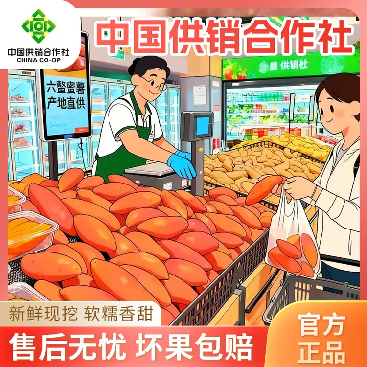 【足斤足重】热销六鳌蜜薯新鲜采摘香甜粉沙地糖心地瓜山芋无丝流油